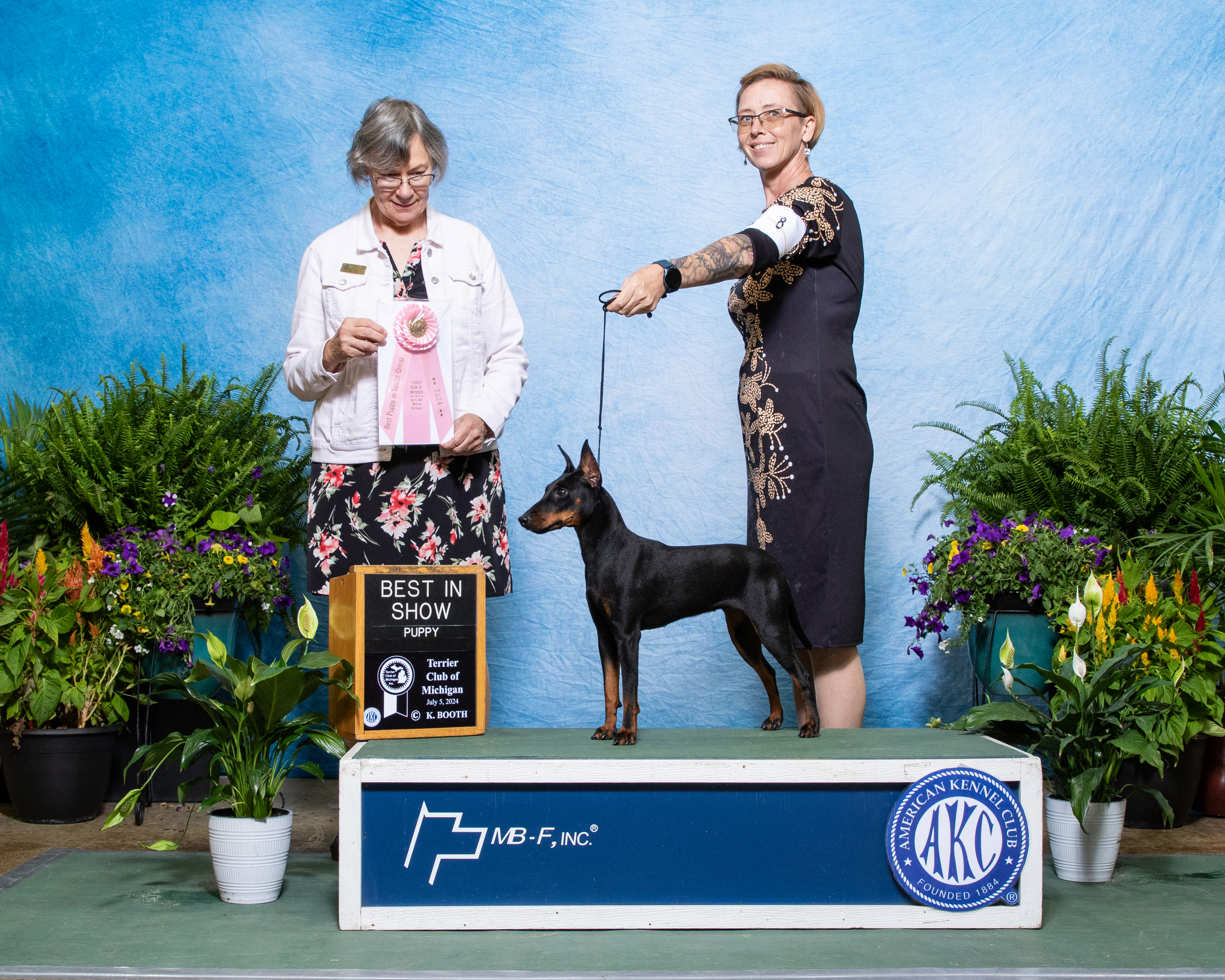 Evie - Best In Show - Jr Puppy