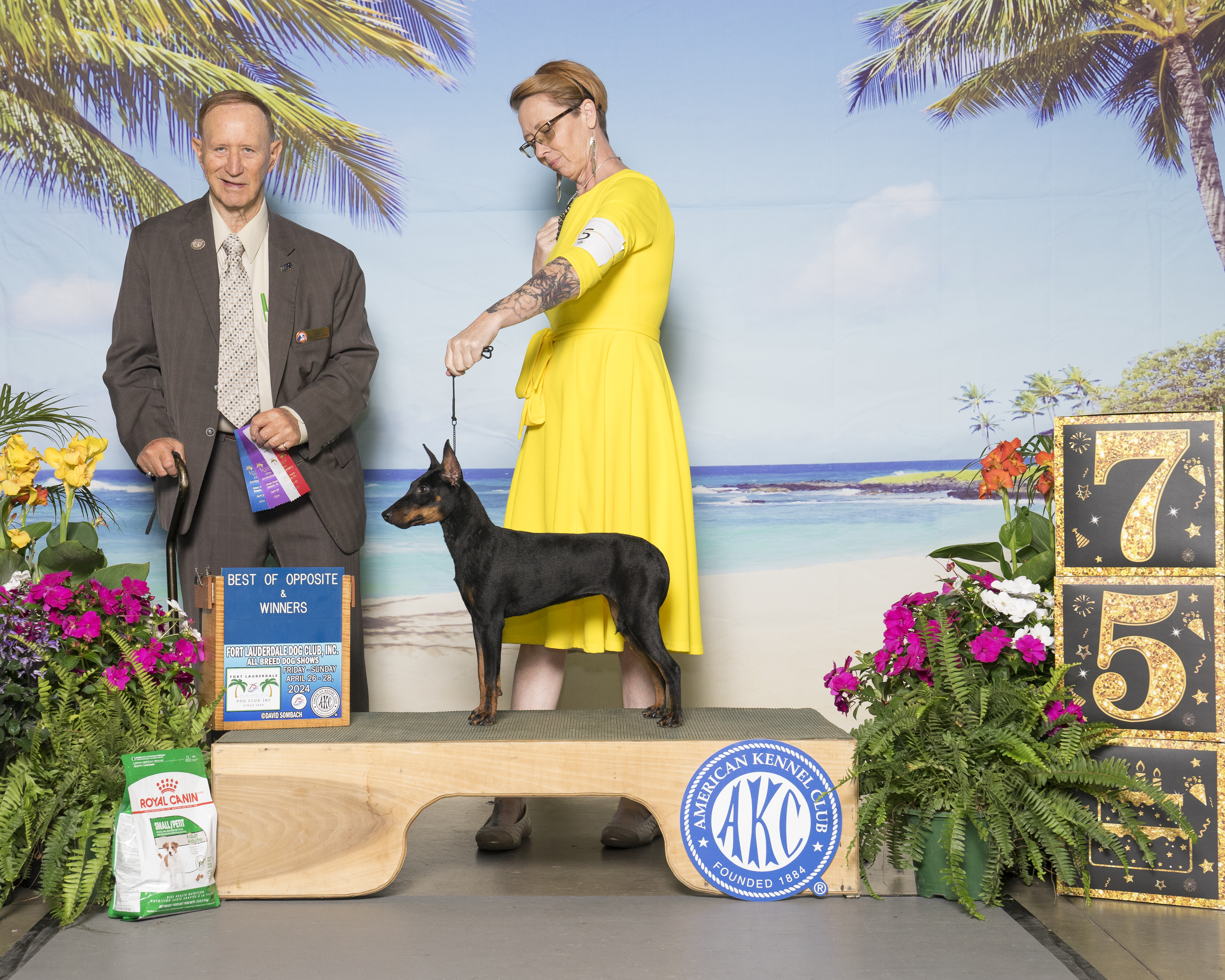 Evie - First Show - 6 months old