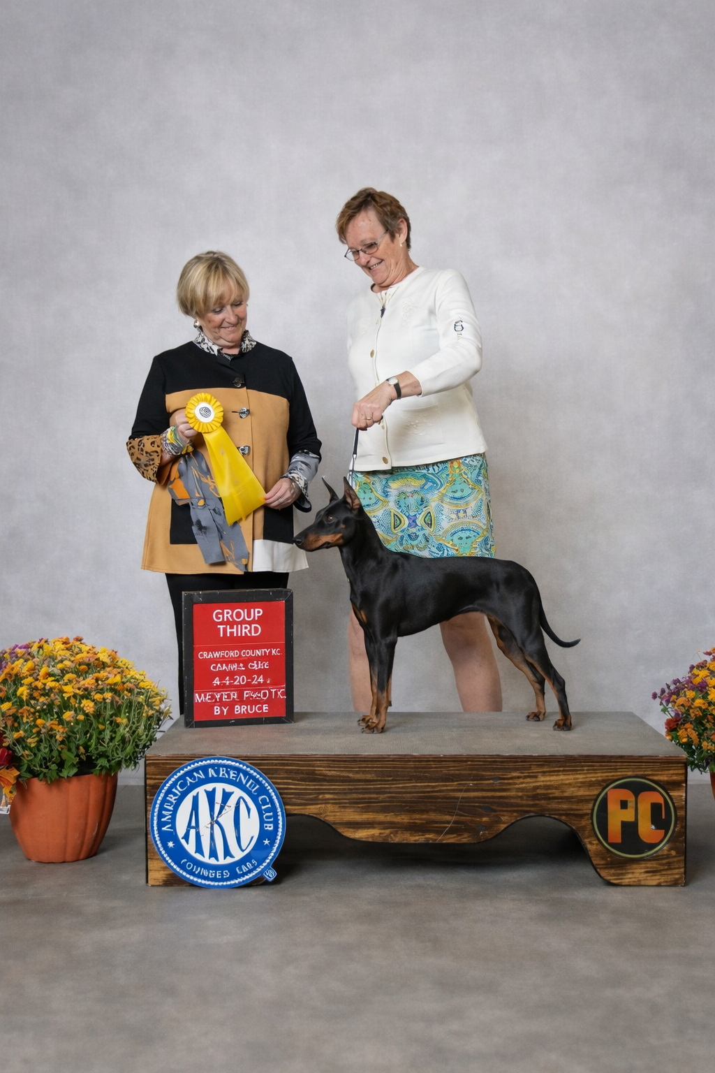 Evie - Group 3 - Strong Terrier Group