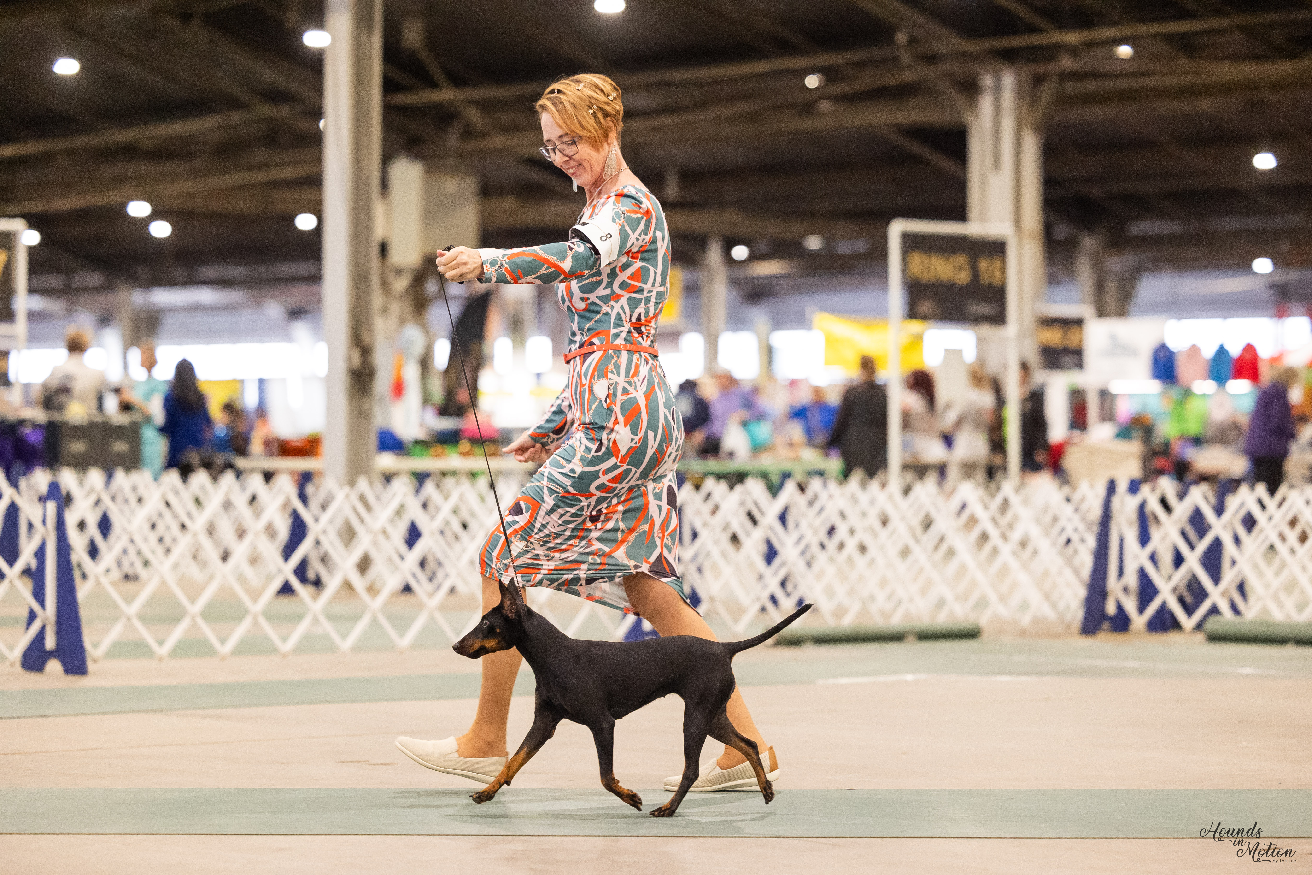 Evie - Elegant Movement