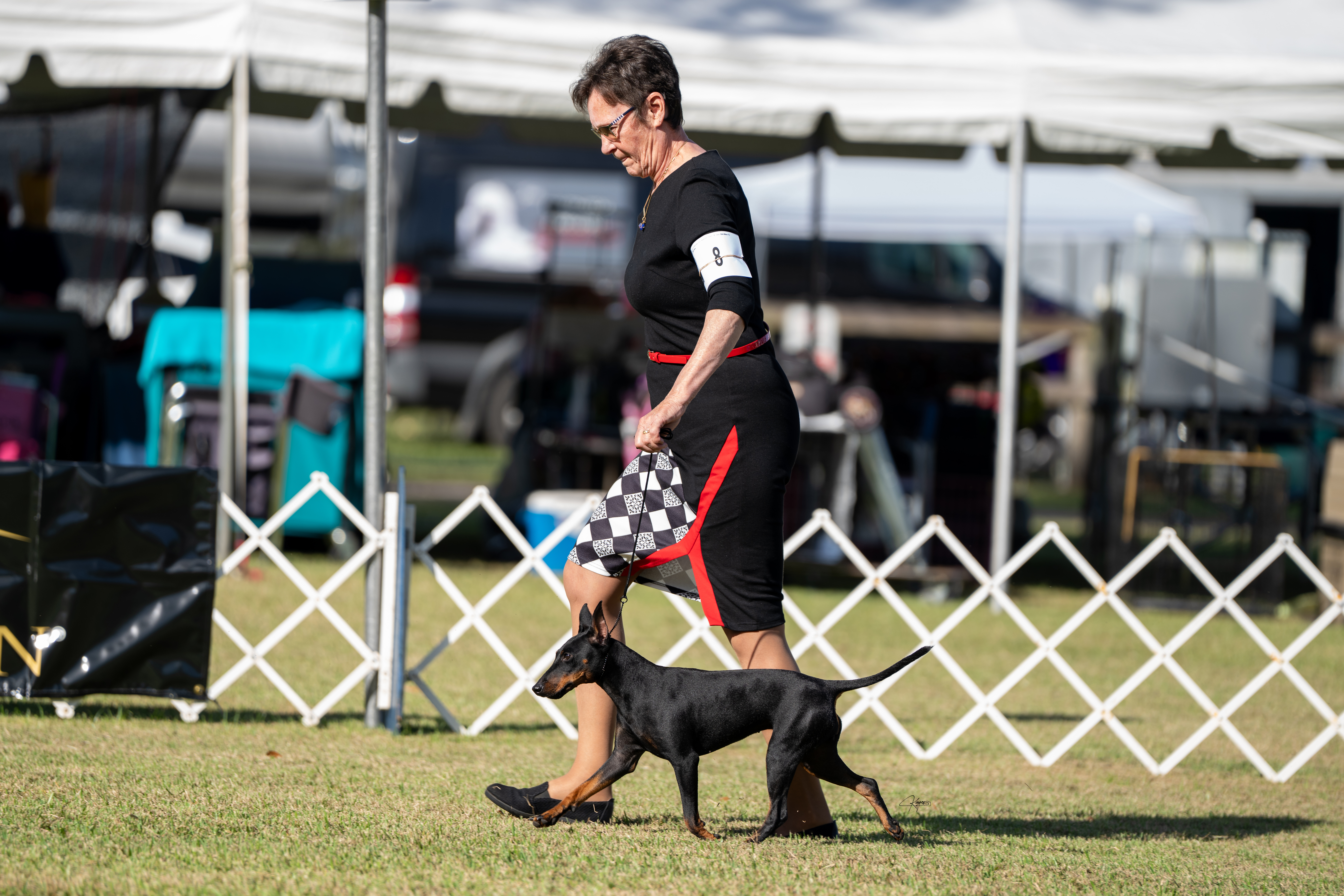 Evie - Graceful Movement