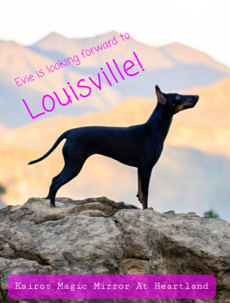 Evie - Reaching the top