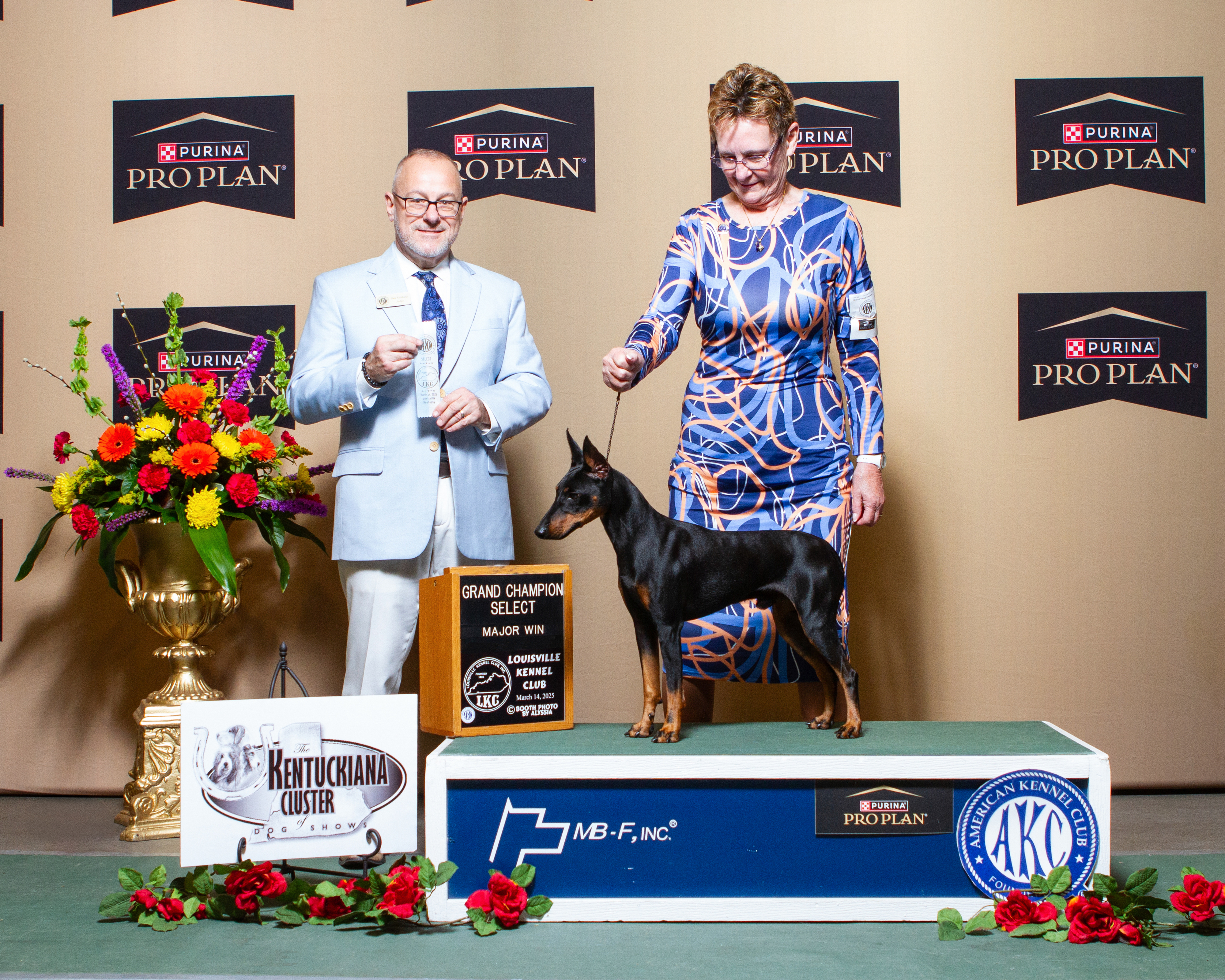 Falkor - 3 Grand Champion Majors in 1 Weekend