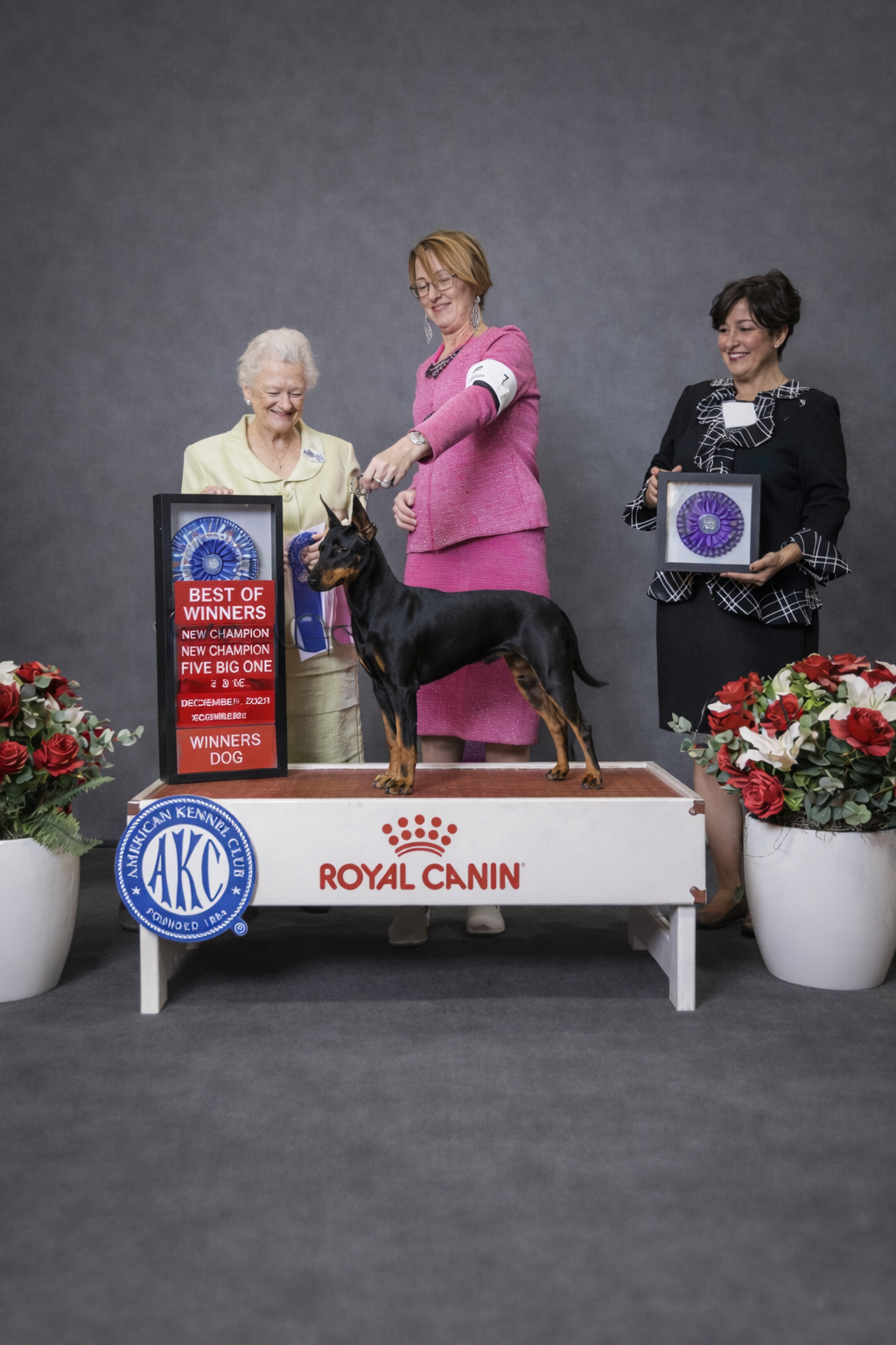 Falkor - Best of Winners & OH Best of Variety - 2024 National