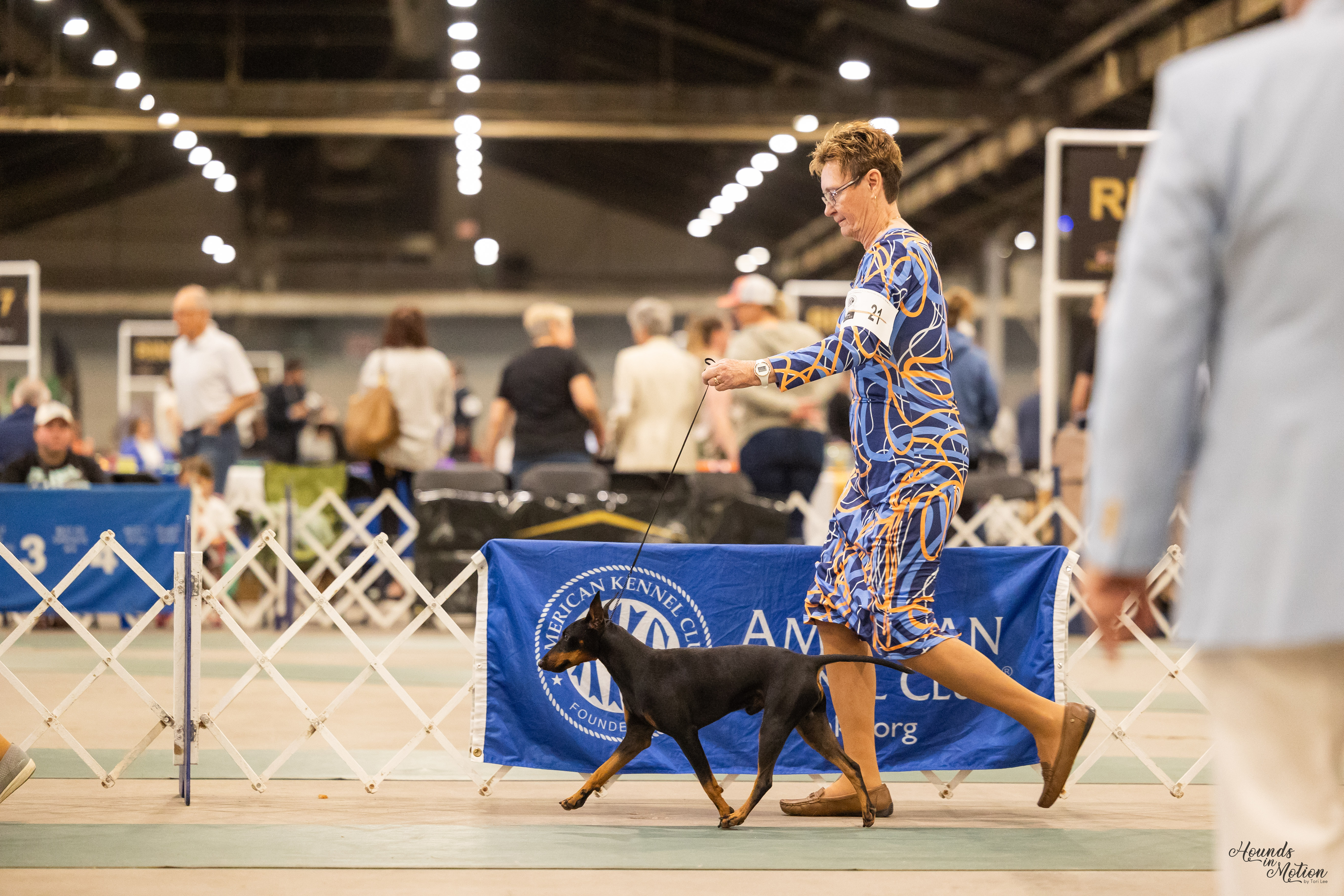 Falkor - Balanced Movement