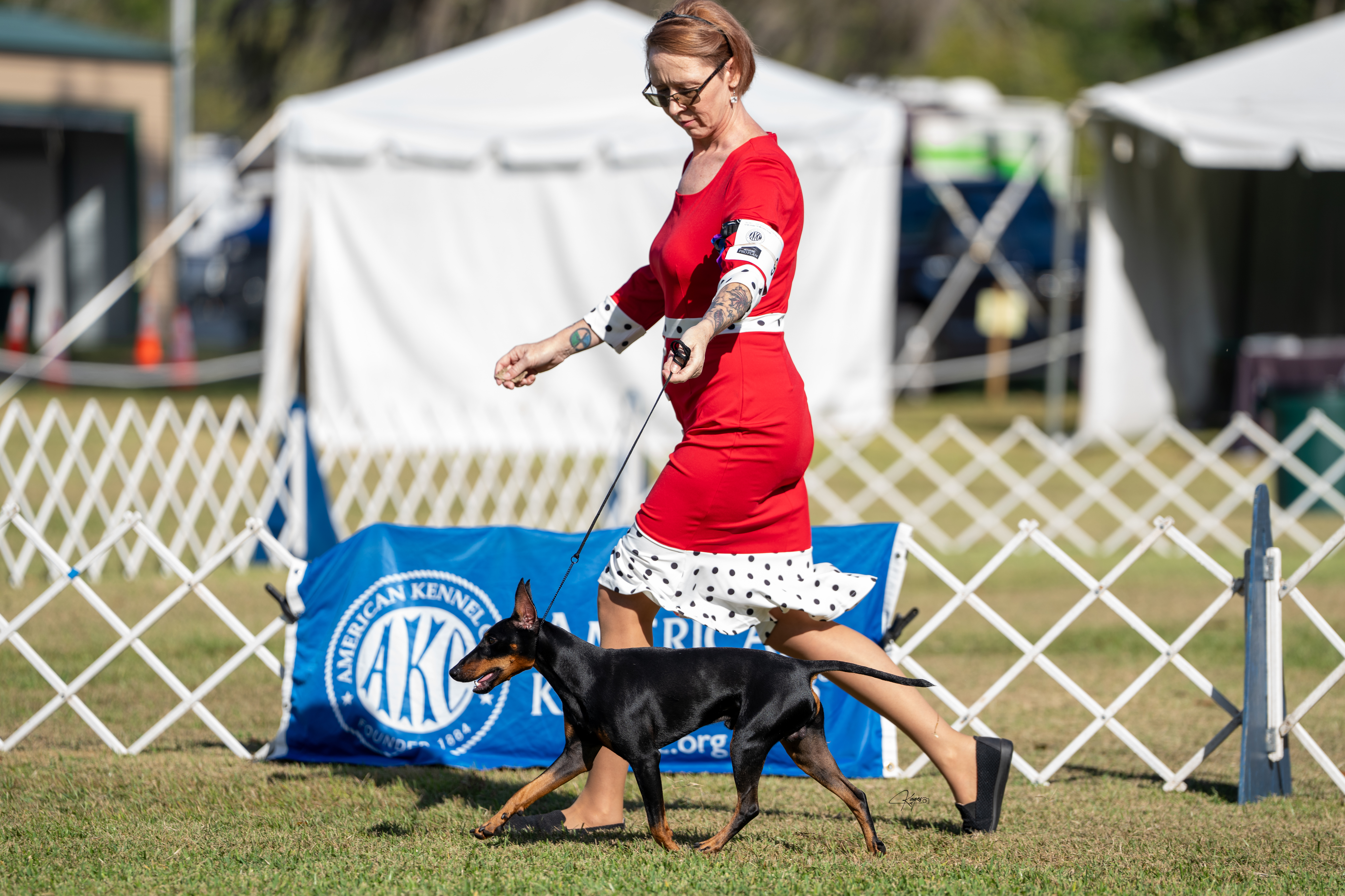 Falkor - Reach and Drive - Unstoppable