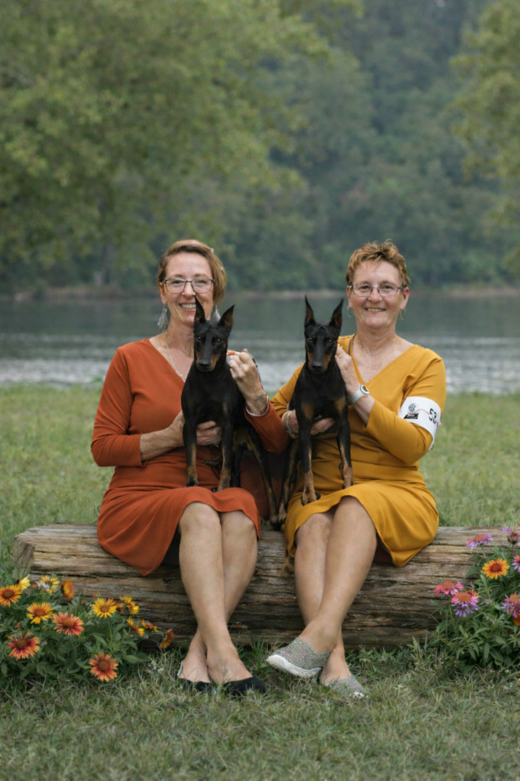 Heartland Manchester Terriers